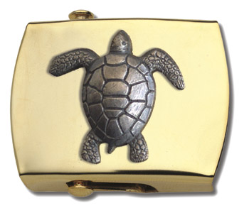 Turtle - Click Image to Close